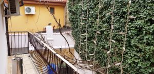 Unico Vero, restaurant italian traditional in strada Viitorului