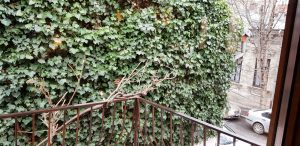 Unico Vero, restaurant italian traditional in strada Viitorului