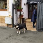 Unico Vero, restaurant italian traditional in strada Viitorului