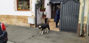 Unico Vero, restaurant italian traditional in strada Viitorului