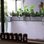 Atypic, restaurant cu specific multicuisine in Aricescu, zona Floreasca