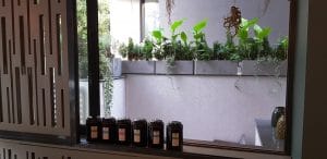 Atypic, restaurant cu specific multicuisine in Aricescu, zona Floreasca