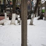 Bulevardul Magheru la Piata Romana, cu restaurantul La Placinte
