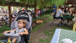 Complexul Casa Comana cu restaurante in Giurgiu