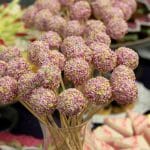 Deschiderea oficiala Zamon din Centrul Vechi al Bucurestiului