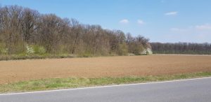 Hanul Casa Vlasia, complex hotelier si de evenimente in Snagov