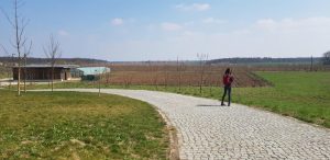 Hanul Casa Vlasia, complex hotelier si de evenimente in Snagov