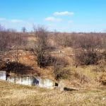 Laguna Verde, restaurant pescaresc pe Balta Balotesti Fieni langa Bucuresti