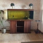 Laguna Verde, restaurant pescaresc pe Balta Balotesti Fieni langa Bucuresti