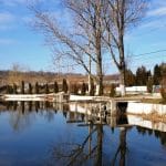 Laguna Verde, restaurant pescaresc pe Balta Balotesti Fieni langa Bucuresti