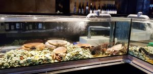 Le Vivier, restaurant fin de peste si fructe de mare in Bucuresti