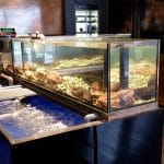 Le Vivier, restaurant de peste, fructe de mare, oyster bar, delicatese