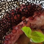 Le Vivier, restaurant fin de peste si fructe de mare in Bucuresti