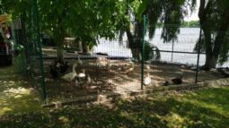 Popas Rustic Diana Belciugatele