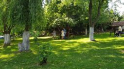 Popas Rustic Diana Belciugatele