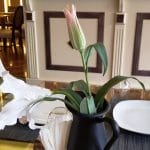 Trattoria Pippo's, restaurant italian in Cartierul francez din Bucuresti
