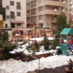 Trattoria Pippo's, restaurant italian in Cartierul francez din Bucuresti