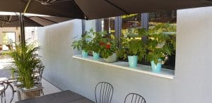 Agape, market & restaurant cu bucatarie internationala in Calea Floreasca