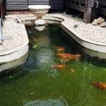 Aqua Garden si Gradina Japoneza, restaurant in Militari Residence, Bucuresti