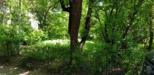 Baba Novac, cu restaurantele Najee si Trattoria Monza