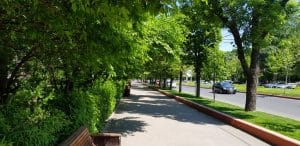 Baba Novac, cu restaurantele Najee si Trattoria Monza