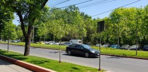 Baba Novac, cu restaurantele Najee si Trattoria Monza