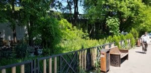 Baba Novac, cu restaurantele Najee si Trattoria Monza