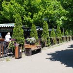 Baba Novac, cu restaurantele Najee si Trattoria Monza