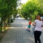 Bulevardul, Parcul si Lacul Tei, cu restaurantul The President