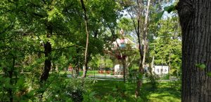 Bulevardul, Parcul si Lacul Tei, cu restaurantul The President