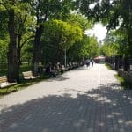 Bulevardul, Parcul si Lacul Tei, cu restaurantul The President