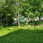 Bulevardul, Parcul si Lacul Tei, cu restaurantul The President