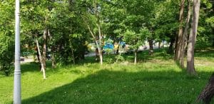 Bulevardul, Parcul si Lacul Tei, cu restaurantul The President