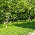 Bulevardul, Parcul si Lacul Tei, cu restaurantul The President