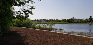 Bulevardul, Parcul si Lacul Tei, cu restaurantul The President