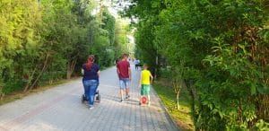 Bulevardul, Parcul si Lacul Tei, cu restaurantul The President