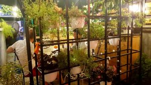 Cafeneaua STAY by Coffee 2 Go, pe strada General Berthelot in Bucuresti