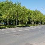 Calea Floreasca din Bucuresti, pe la restaurantele Diesel si Agape