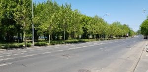 Calea Floreasca din Bucuresti, pe la restaurantele Diesel si Agape