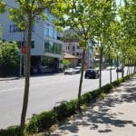 Calea Floreasca din Bucuresti, pe la restaurantele Diesel si Agape
