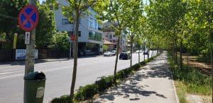 Calea Floreasca din Bucuresti, pe la restaurantele Diesel si Agape