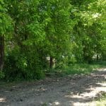 Calea Floreasca din Bucuresti, pe la restaurantele Diesel si Agape