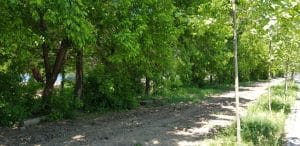 Calea Floreasca din Bucuresti, pe la restaurantele Diesel si Agape