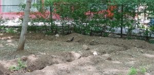 Calea Vacaresti, cu Pizzeria Volare, Cucina de Casa si alte restaurante si localuri