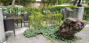 Casa Oamnilor de Stiinta (COS - Parcul Trandafirilor), un restaurant strigoi al Bucurestiului