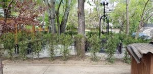 Casa Oamnilor de Stiinta (COS - Parcul Trandafirilor), un restaurant strigoi al Bucurestiului