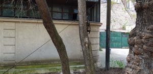 Casa Oamnilor de Stiinta (COS - Parcul Trandafirilor), un restaurant strigoi al Bucurestiului