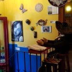 El Torito, restaurant mexican in strada Iancu Capitanu din Bucuresti