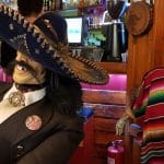 El Torito, restaurant mexican in strada Iancu Capitanu din Bucuresti