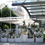 Interviu Restocracy cu George Baciu, Head Chef-ul Caffe Citta
